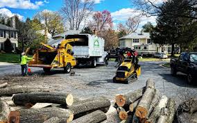 Best Tree Removal  in Nanuet, NY